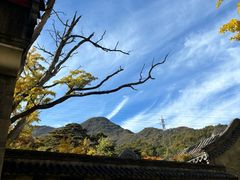 -阳台山自然风景区