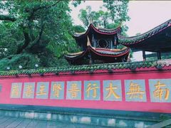 -峨眉山报国寺