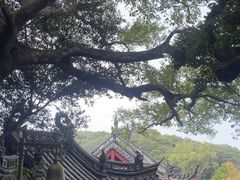 -普陀山慧济禅寺