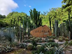 -深圳仙湖植物园