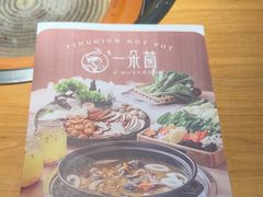 -一朵菌·野生菌探索家火锅(南亚店)