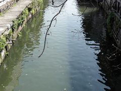 景点-绍兴书圣故里景区