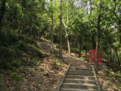 -上海佘山国家森林公园天马山园