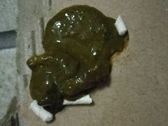 -芭比堂动物医院·24小时·眼科中心(深圳中心)