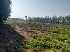 -汉长安城未央宫国家考古遗址公园