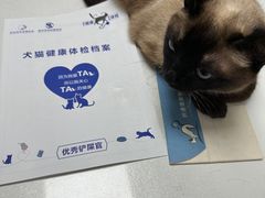 -伟伟宠物医院·CT影像中心·瑞派犬猫综合性门诊(汉口总院)