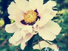 -国家植物园