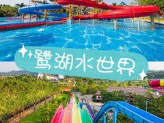 -美的鹭湖探索王国