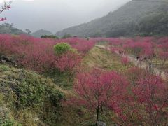 -福清灵石山国家森林公园