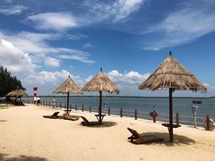 -北海金海湾红树林生态旅游区