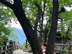 -陕西省红河谷森林公园