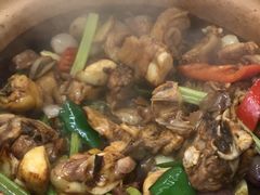 啫啫鸡煲-天宝食坊·啫啫煲大排档(西华路店)