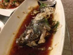 干瘪的鱼-宝燕壹号(徐汇店)