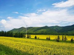 -阿尔山市大兴安岭奥伦布坎景区