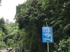 -广州市帽峰山景区