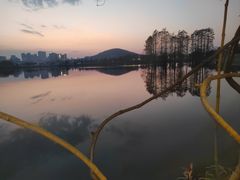 -东湖食堂·湖景餐厅•会议