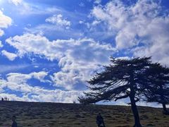 -芦芽山旅游度假区