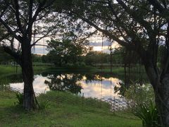 -福田红树林生态公园