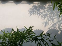 -苏州园林博物馆