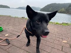 -达蓬山旅游度假区