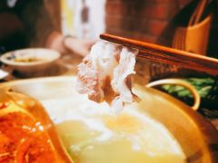鸳鸯锅-小龙坎老火锅(西安路店)