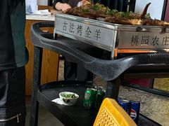 -桃园农庄烤全羊(江秋路店)
