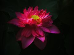 -黄兴公园
