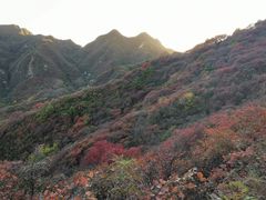 -水峪民俗村