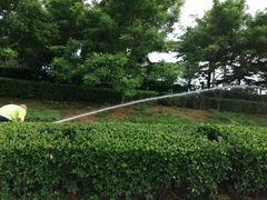 -青岛东方影都融创水世界