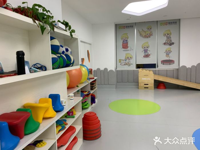 金色雨林学习力培优(专注力提升)图片