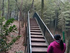 -宝岩生态观光园