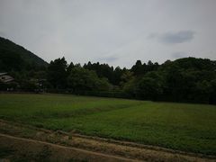 -常寂光寺