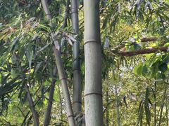 -南山风景名胜区