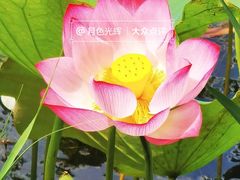 -野鸭湖国家湿地公园