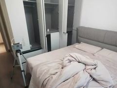 -深圳绿色亿家专业除甲醛