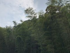 -午潮山国家森林公园