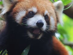-普洱太阳河森林公园
