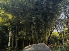 -苏州河梦清园环保主题公园