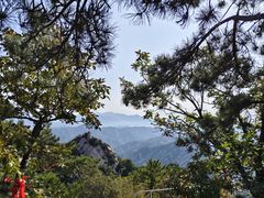 -六里坪国家森林公园