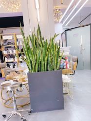 -FUTURE HN男士发型风格设计