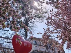 -五大道风景区-常德道孟氏旧居