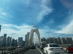 -珠江琶醍