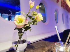 -甜心航空主题餐厅(清远万达广场店)