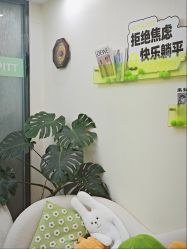 -凡碧诗毛孔清洁收细