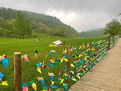 -武陵山森林公园