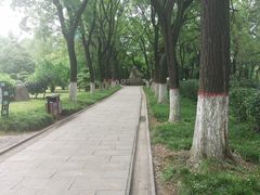 -渭滨公园