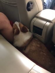 -YOUNGSKIN氧研皮肤管理中心