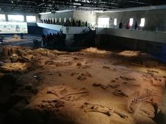 -自贡恐龙博物馆