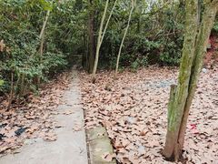 -三岔湖景区