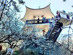 -广州市流溪河国家森林公园